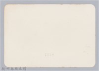 林保仁縣長主政照片：頭前溪剷除高莖作物-6藏品圖，第2張