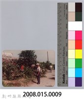 林保仁縣長主政照片：頭前溪剷除高莖作物-8藏品圖，第3張