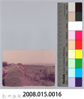 林保仁縣長主政照片：頭前溪剷除高莖作物-15藏品圖，第3張