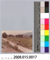 林保仁縣長主政照片：頭前溪剷除高莖作物-16藏品圖，第3張