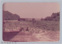 林保仁縣長主政照片：頭前溪剷除高莖作物-21藏品圖，第1張