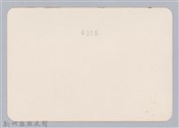 林保仁縣長主政照片：頭前溪剷除高莖作物-21藏品圖，第2張