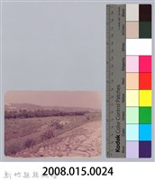 林保仁縣長主政照片：頭前溪剷除高莖作物-23藏品圖，第3張