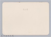 林保仁縣長主政照片：頭前溪剷除高莖作物-27藏品圖，第2張