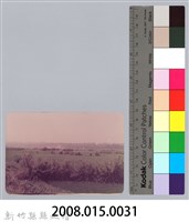 林保仁縣長主政照片：頭前溪剷除高莖作物-30藏品圖，第3張