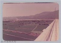 林保仁縣長主政照片：頭前溪剷除高莖作物-34藏品圖，第1張