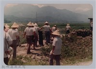 林保仁縣長主政照片：新竹縣新埔鎮六十七年度防汛演習-4藏品圖，第1張