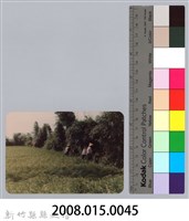 林保仁縣長主政照片：新竹縣新埔鎮六十七年度防汛演習-8藏品圖，第3張