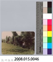 林保仁縣長主政照片：新竹縣新埔鎮六十七年度防汛演習-9藏品圖，第3張