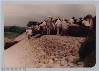 林保仁縣長主政照片：新竹縣新埔鎮六十七年度防汛演習-15藏品圖，第1張