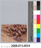 林保仁縣長主政照片：新竹縣新埔鎮六十七年度防汛演習-17藏品圖，第3張