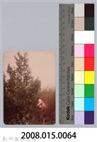 林保仁縣長主政照片：新竹縣新埔鎮六十七年度防汛演習-27藏品圖，第3張