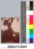 林保仁縣長主政照片：新竹縣新埔鎮六十七年度防汛演習-32藏品圖，第3張