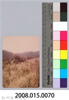 林保仁縣長主政照片：新竹縣新埔鎮六十七年度防汛演習-33藏品圖，第3張