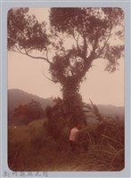 林保仁縣長主政照片：新竹縣新埔鎮六十七年度防汛演習-34藏品圖，第1張