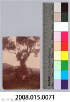 林保仁縣長主政照片：新竹縣新埔鎮六十七年度防汛演習-34藏品圖，第3張