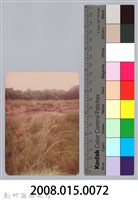 林保仁縣長主政照片：新竹縣新埔鎮六十七年度防汛演習-35藏品圖，第3張