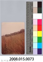 林保仁縣長主政照片：新竹縣新埔鎮六十七年度防汛演習-36藏品圖，第3張