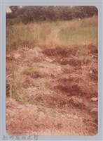 林保仁縣長主政照片：新竹縣新埔鎮六十七年度防汛演習-38藏品圖，第1張