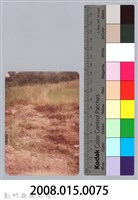 林保仁縣長主政照片：新竹縣新埔鎮六十七年度防汛演習-38藏品圖，第3張