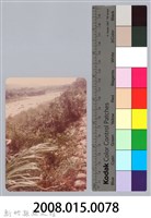 林保仁縣長主政照片：新竹縣新埔鎮六十七年度防汛演習-41藏品圖，第3張