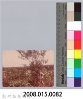 林保仁縣長主政照片：新竹縣新埔鎮六十七年度防汛演習-45藏品圖，第3張