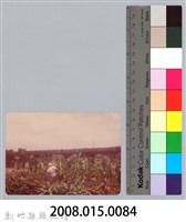 林保仁縣長主政照片：新竹縣新埔鎮六十七年度防汛演習-47藏品圖，第3張