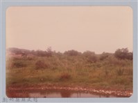 林保仁縣長主政照片：新竹縣新埔鎮六十七年度防汛演習-58藏品圖，第1張