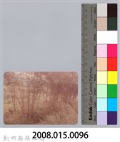 林保仁縣長主政照片：新竹縣新埔鎮六十七年度防汛演習-59藏品圖，第3張