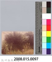 林保仁縣長主政照片：新竹縣新埔鎮六十七年度防汛演習-60藏品圖，第3張