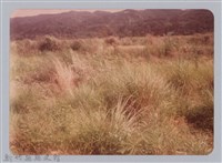 林保仁縣長主政照片：新竹縣新埔鎮六十七年度防汛演習-66藏品圖，第1張