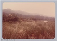 林保仁縣長主政照片：新竹縣新埔鎮六十七年度防汛演習-67藏品圖，第1張