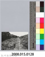 林保仁縣長主政照片：新竹縣芎林堤防防汛搶救演習-15藏品圖，第3張