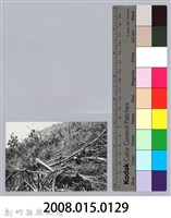 林保仁縣長主政照片：新竹縣芎林堤防防汛搶救演習-16藏品圖，第3張