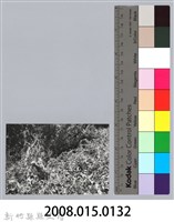 林保仁縣長主政照片：新竹縣芎林堤防防汛搶救演習-19藏品圖，第3張