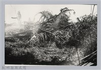 林保仁縣長主政照片：新竹縣芎林堤防防汛搶救演習-22藏品圖，第1張