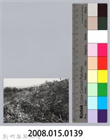 林保仁縣長主政照片：新竹縣芎林堤防防汛搶救演習-26藏品圖，第3張