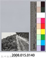 林保仁縣長主政照片：新竹縣芎林堤防防汛搶救演習-27藏品圖，第3張