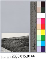 林保仁縣長主政照片：新竹縣芎林堤防防汛搶救演習-31藏品圖，第3張