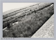 林保仁縣長主政照片：新竹縣芎林堤防防汛搶救演習-32藏品圖，第1張