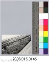 林保仁縣長主政照片：新竹縣芎林堤防防汛搶救演習-32藏品圖，第3張