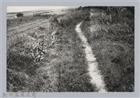 林保仁縣長主政照片：新竹縣芎林堤防防汛搶救演習-35藏品圖，第1張