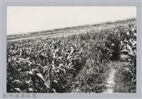 林保仁縣長主政照片：新竹縣芎林堤防防汛搶救演習-39藏品圖，第1張