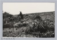 林保仁縣長主政照片：新竹縣芎林堤防防汛搶救演習-43藏品圖，第1張