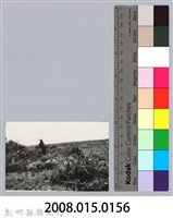 林保仁縣長主政照片：新竹縣芎林堤防防汛搶救演習-43藏品圖，第3張