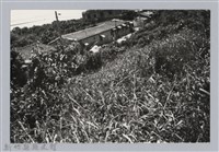 林保仁縣長主政照片：新竹縣芎林堤防防汛搶救演習-44藏品圖，第1張