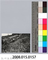 林保仁縣長主政照片：新竹縣芎林堤防防汛搶救演習-44藏品圖，第3張