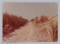 林保仁縣長主政照片：新竹縣芎林堤防防汛搶救演習-47藏品圖，第1張