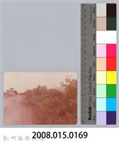 林保仁縣長主政照片：新竹縣芎林堤防防汛搶救演習-56藏品圖，第3張