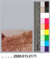 林保仁縣長主政照片：新竹縣芎林堤防防汛搶救演習-58藏品圖，第3張